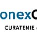 Conex Clean - firma curatenie
